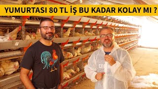 BU İŞİN ZORLUKLARI ! TAVUK ÇİFTLİĞİ KURMAK VE ÜRETİCİMİZİN YAŞADIKLARI