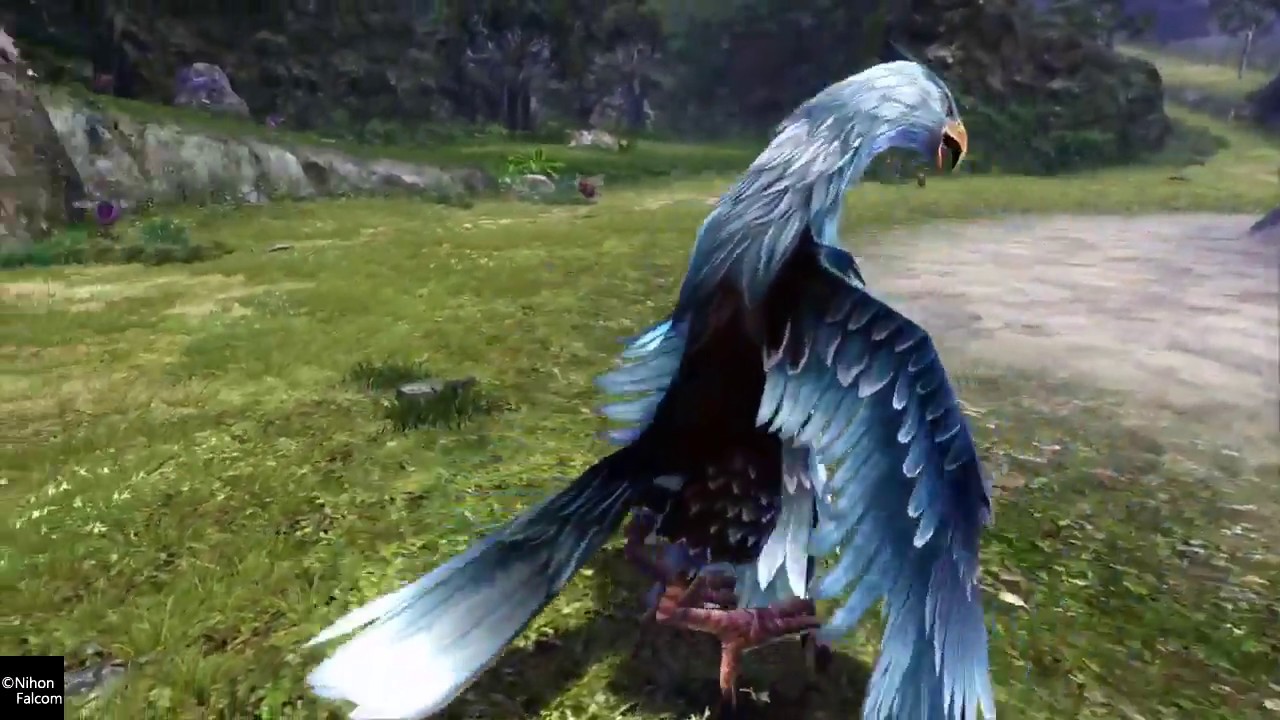 Euron Hunt Agiagila Side Quest | Ys VIII  Lacrimosa of DANA