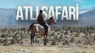 ATLI SAFARİ ( KONYA KENT ORMANI ) #horse #at #horseriding #doğa #kamp #camping