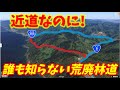 【国道vs林道】人知れず存在する40%距離カット林道!国道8号から越前海岸への近道・・のはずが廃道になるかも状態です・・ 字幕推奨 translation