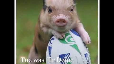 Seid ihr selbst