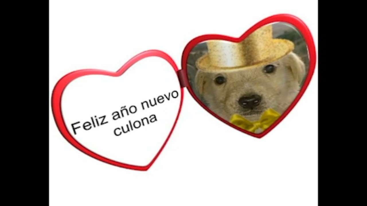 You Tube Culos