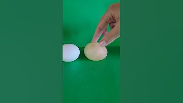 experiment eggs after 24 hours in vinegar and shell soft #shorts #egg #experiments