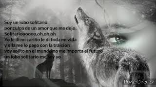 lobo solitario