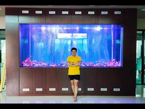 Leng บางบอน 3 วันที่รอคอย "วันลงปลา" (รอมา 2 ปีกว่า) ฝูงปลานกแก้ว 200 ในตู้สุดมโหฬาร 3.5 ม. Set 2