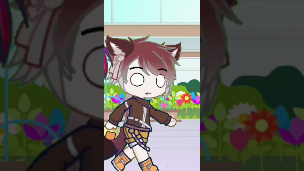 RUN LITTLE TANUKI!!!