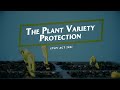 Understanding The Plant Variety Protection Act 2021 Mp3 Song