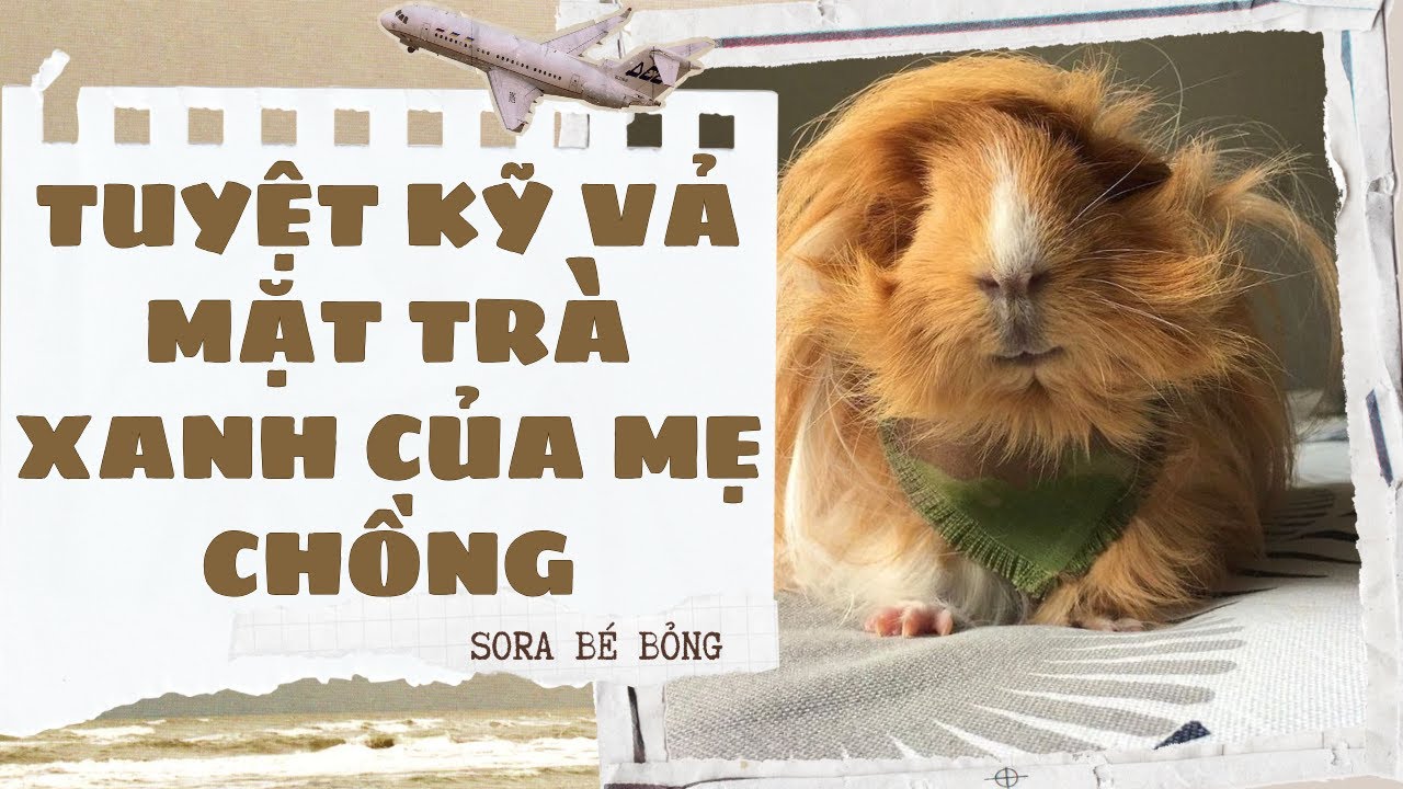 [Truyện Audio ] [FULL] TUYỆT KỸ VẢ MẶT TRÀ XANH CỦA MẸ CHỒNG || Sora Bé Bỏng