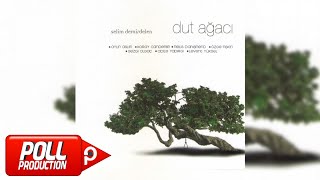 Özge Fışkın - Dut Ağacı - ( Official Audio )