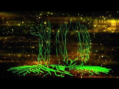 💚 3D Countdown – 10 Second Timer Green Neon Countdown with Music & Voice | Futuristic FX | McZerrill