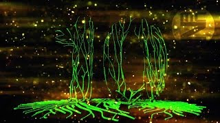 💚 3D Countdown – 10 Second Timer Green Neon Countdown with Music & Voice | Futuristic FX | McZerrill