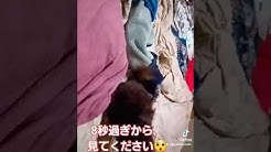 232 スーパー和輝tv Youtube