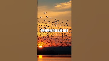 Together We Solve: The Hidden Science of Swarm Intelligence