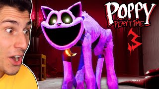 I Finally Met CATNAP! | Poppy Playtime Chapter 3