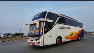 CINEMATIC BUS||BUS LAJU PRIMA LENJEH 243 OLENG TIPIS TIPIS TERBARU '