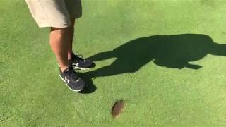 Divot Repair with Course Superintendent