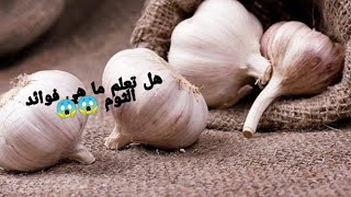 فوائد الثوم