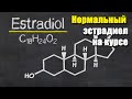 КАКОЙ ДОЛЖЕН БЫТЬ ЭСТРАДИОЛ НА КУРСЕ | ЛУЧШИЕ ПРОИЗВОДИТЕЛИ АНАСТРОЗОЛА