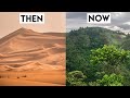 How the sahara desert is turning into a farmland oasis  greening the desert project