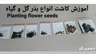 کاشتن بذر گل و گیاه / آموزش کاشت انواع بذر یا تخم گل و گیاه / Planting flower seeds