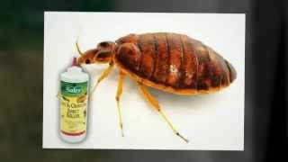 Should I use food grade diatomaceous earth (DE) to kill bugs?