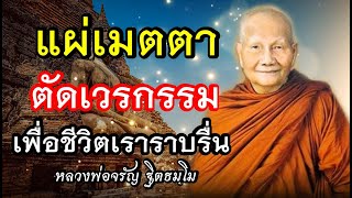 แผ่เมตตา ตัตเวรกรรม ชีวิตราบรื่น🙏เสียงเทศน์ หลวงพ่อจรัญฐิตธัมโม(ไม่มีโฆษณาคั่น)