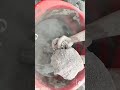 As asmr #crushingtime #yshorts #satisfying #asmrsounds #oddlysatisfying #crunchycrumbles #explore