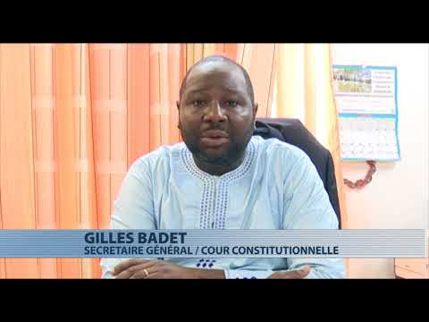 Vidéo: Quelles Affaires Sont Examinées Par La Cour Constitutionnelle