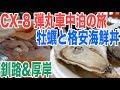 CX-8車中泊弾丸旅行！新鮮な牡蠣と格安海鮮丼を厚岸と釧路で食べる