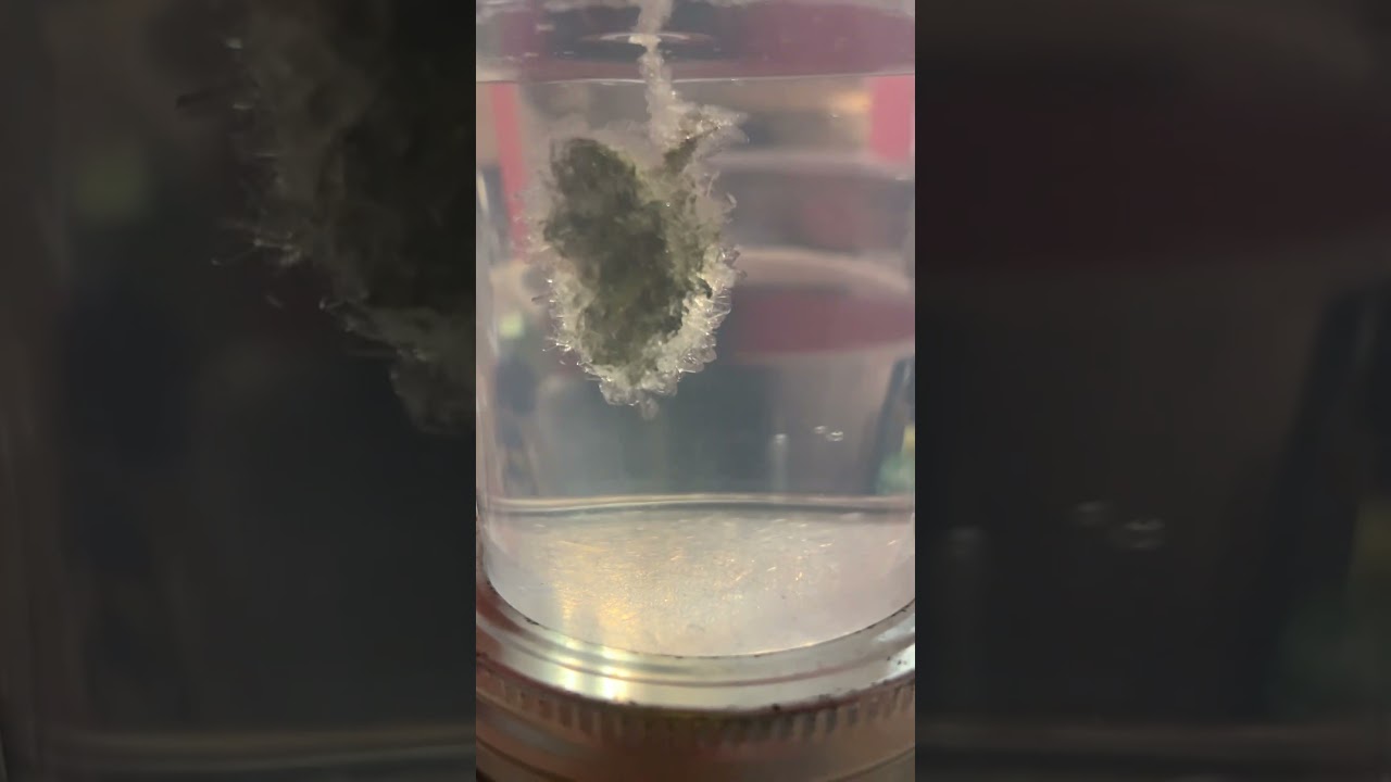 I’m the first in history to 