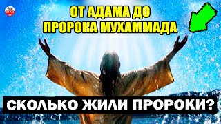 ПОРЯДОК ПОЯВЛЕНИЯ ПРОРОКОВ ОТ АДАМА ДО ПРОРОКА МУХАММАДА, СКОЛЬКО ВРЕМЕНИ ОНИ ЖИЛИ ГДЕ УМЕРЛИ screenshot 3