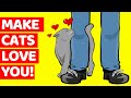 10 Science Based Ways To Make Your Cat LOVE You