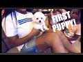 Family of 12 Gets FIRST DOG!!!  Teddy Bear Puppy