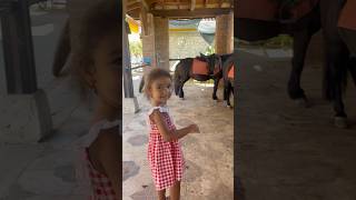 Atlara Dil Çıkartıyormuş Şfetbeniöneçıkar