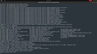 Overarching Tutorial: off-line verification with SCAN