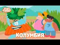 Колумбия - Бодо Бородо | ПРЕМЬЕРА | мультфильмы для детей 0+