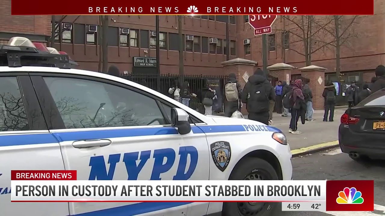 Person in custody after student stabbed at Brooklyn high school | NBC ...