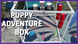 Puppy Adventure Box by Sandollar Aussies 1,590 views 2 years ago 9 minutes