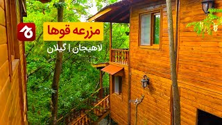 رزرو مزرعه قوها لاهیجان | جاجیگا