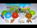 Takara Tomy Baby Animals - Tiger, Seal, Monkey, Zebra, Hippo, Giraffe, Elephant, Cat, Dog, Rabbit