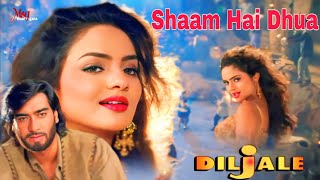 Shaam Hai Dhua | Diljale | Poornima, Ajay Devgan, Sonali Bendre, Madhoo, Amrish Puri, Shakti, Song