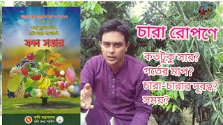 ফল গাছ রোপনের পূর্বে জেনেনিন কোন গাছে কতটুকু সার দিতে হবে,গর্ত কতটুকু হবে কিভাবে রোপন করতে হবে