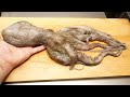 夏が旬で美味しいタコの捌き方に「天ぷら」と「磯辺揚げ」の作り方 Octopus tempura