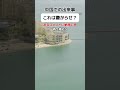 【中国】これは嫌がらせ?それとも… #shorts