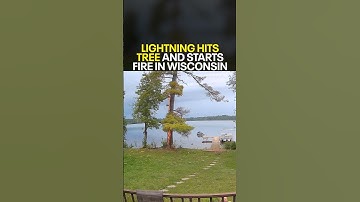Dramatic video shows lightning strike exploding tree in Wisconsin
