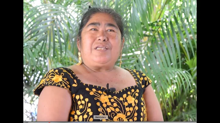 My Experience as a Professional Indigenous Interpr...