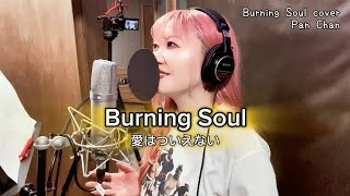 Virtua Fighter 5 R.E.V.O.】OPテーマ「Burning Soul」 covered