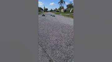 Traxxas Bandit vs Rustler vs Stampede