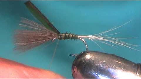Fly tying with David Strawhorn - CdC Comparadun