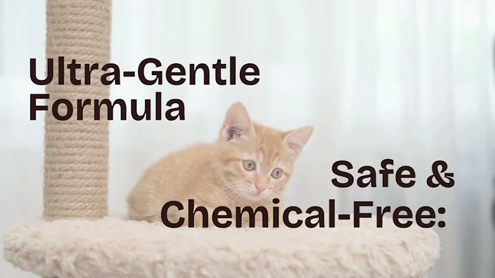 Video 10923391: gentle bath, bath wash, first bath, kitten